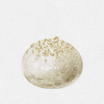 全麦葡萄干 Wheat Raisin (Selangor Outlet)