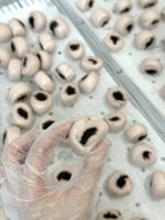 五彩宝宝馒头 baby mantou （260g+-） (Selangor Outlet) - Image 10