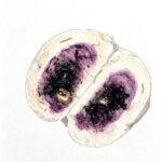 黑米紫薯芝麻养生馒  Black Sesame purple potato (Selangor Outlet)